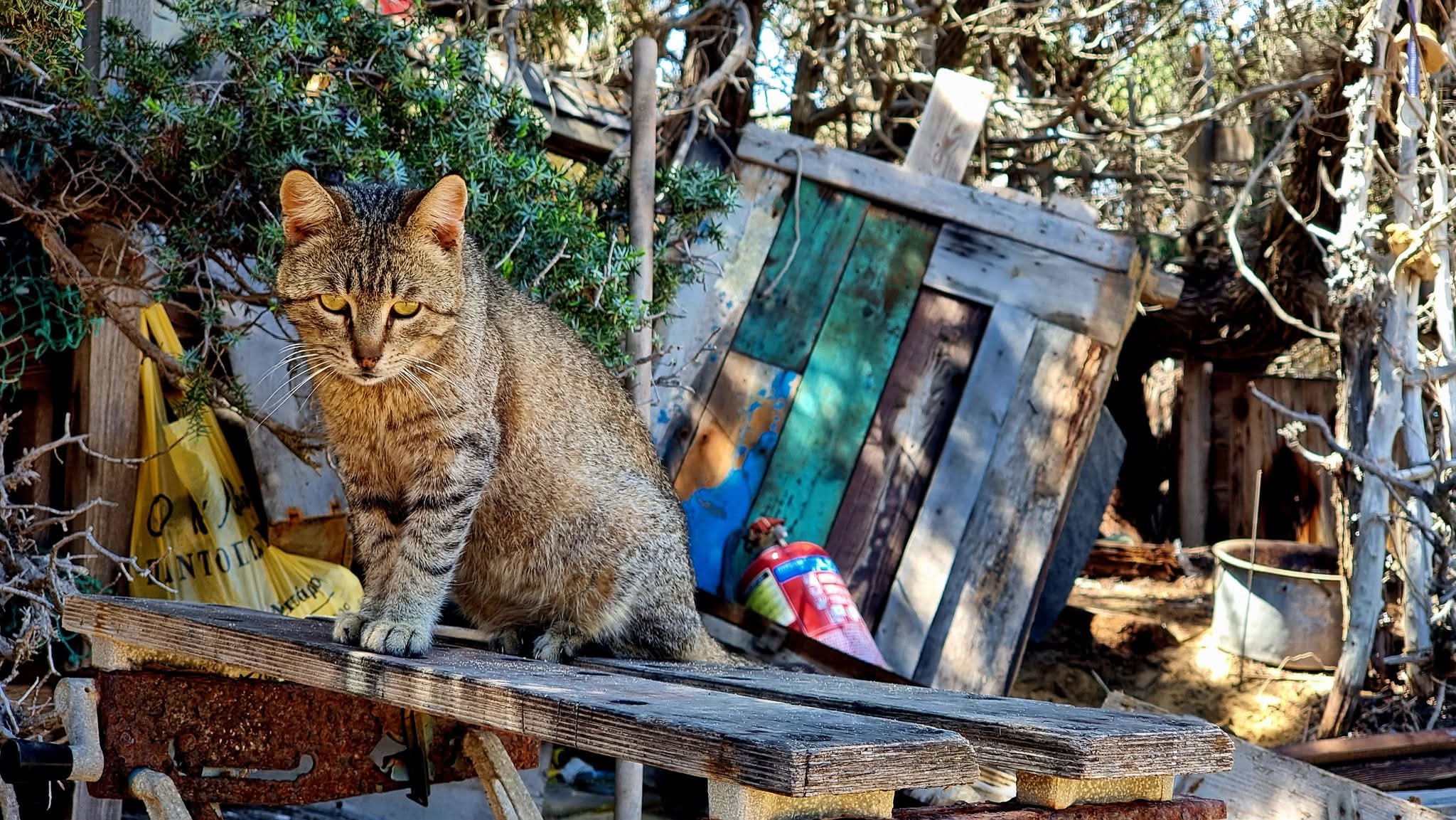 Θέα από το Λαυρακά